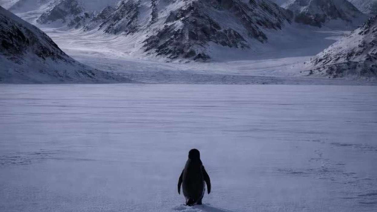 Nihilistic Penguin Meme