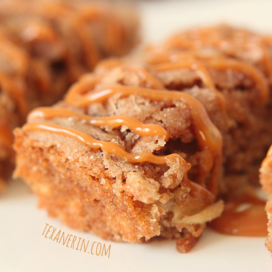 Apple Cake Bars (100% whole grain) - Texanerin Baking
