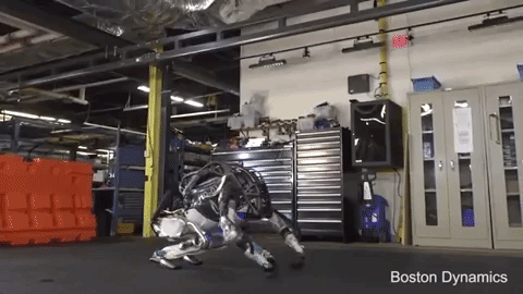 The evolution of intelligence in robots: Part 1