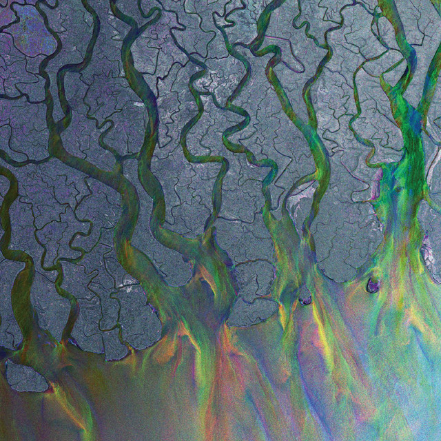 Taro - alt-J
