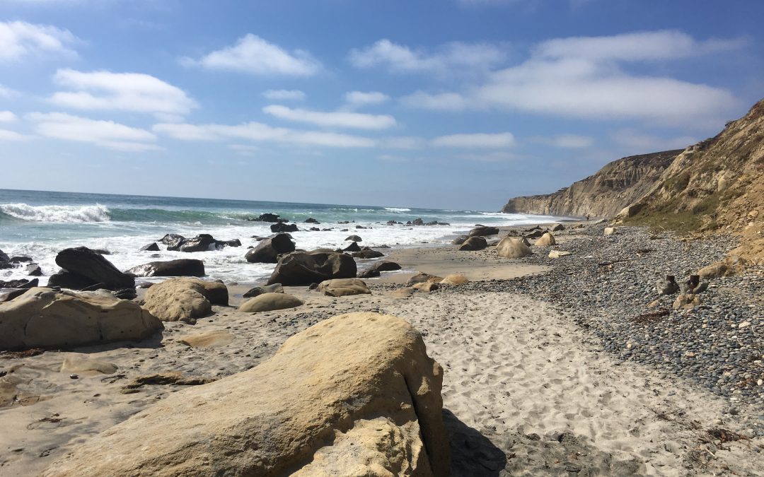 Torrey Pines Beach Hike