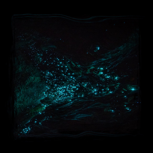 Way Out - Waterstrider