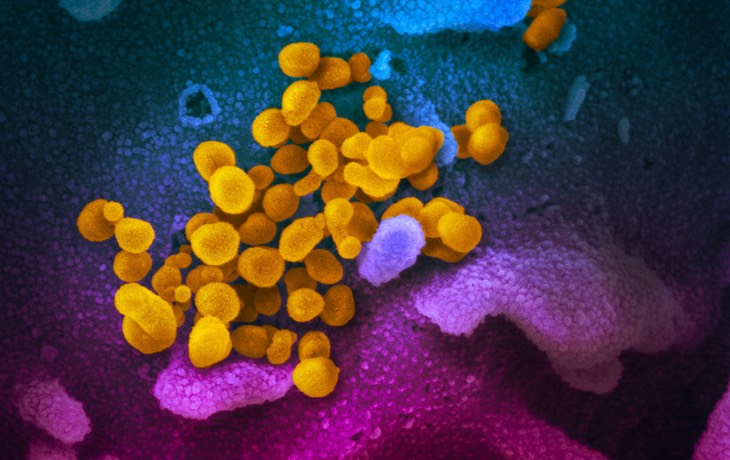 One-page beginner's guide to the Wuhan coronavirus