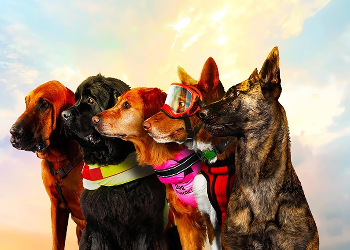 Superpower Dogs - Fleet Science Center (IMAX)